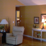 Suwanee House Painting Contractor Picture
